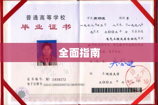 花都全面指南